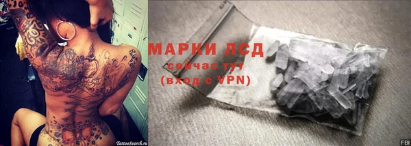 стаф Михайлов